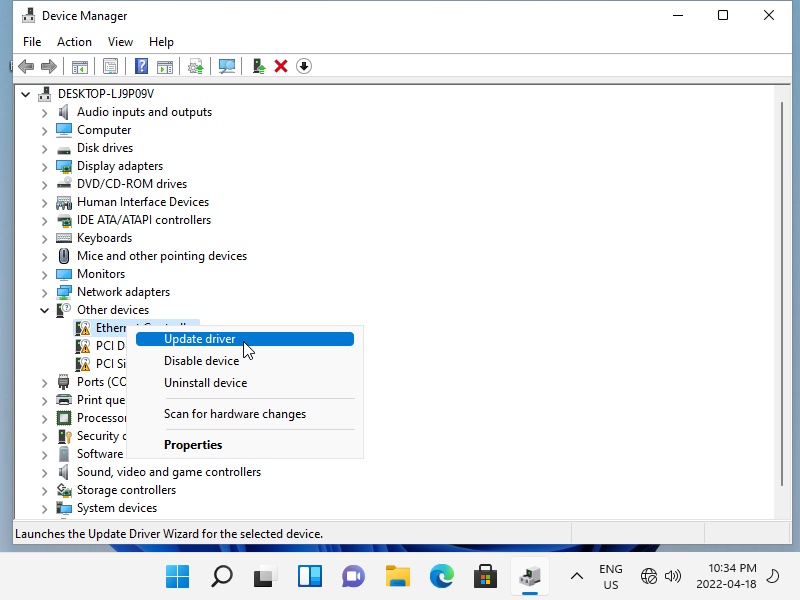 A screenshot of device manager showing other devices