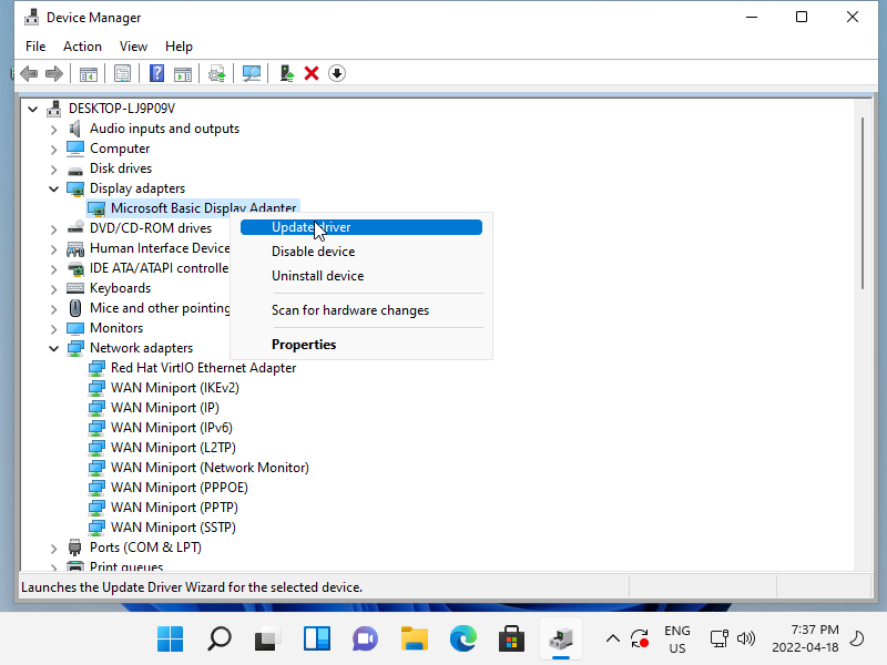 A screenshot of device manager showing display adapters